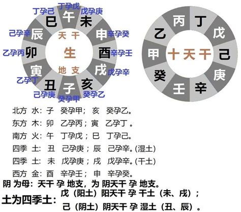 甲乙丙丁戊己庚辛壬癸|十天干十二地支